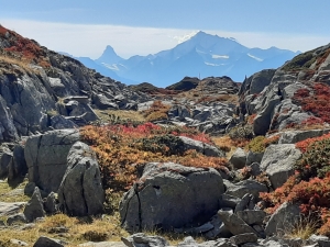 Aletsch