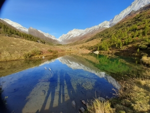 Lötschental