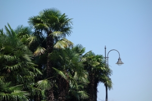 Lago Maggiore