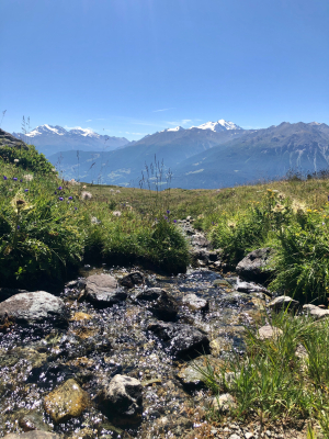 Fesel-Alp