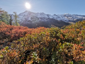 Lötschental