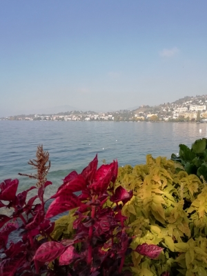 Montreux - Genfer See