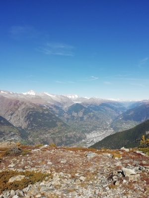Gibidum - Simplon