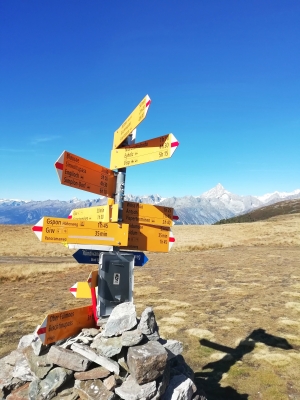 Gibidum - Simplon