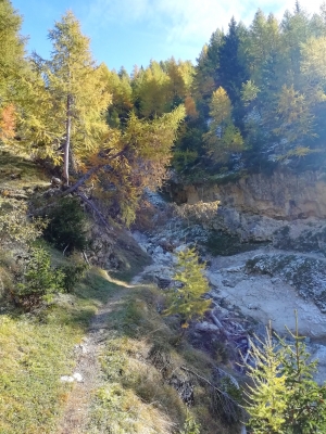 Panoramaweg