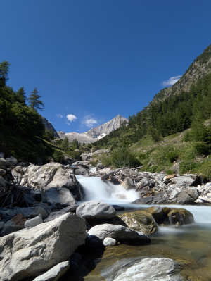 Alpe Bietschi - Bietschtal